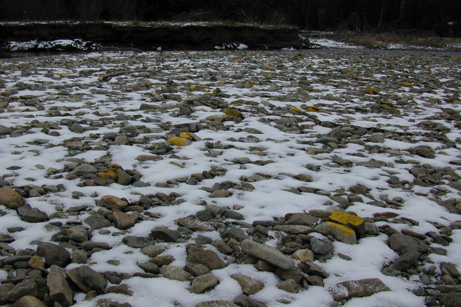 clusters in gravel-bed streams